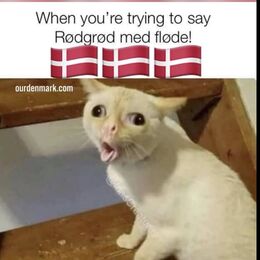 Sørenaw