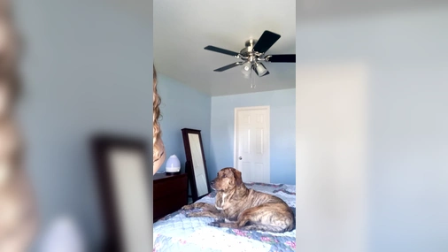 HarperTheFox Crazy Tits Flashing