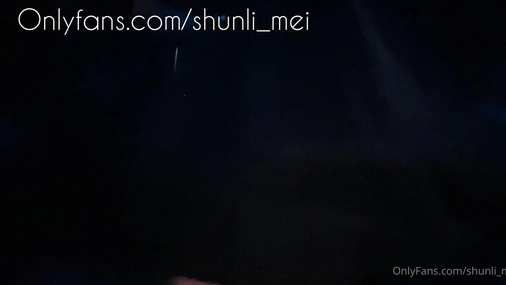 Shunli Mei Gets Big Dick On The Party POV