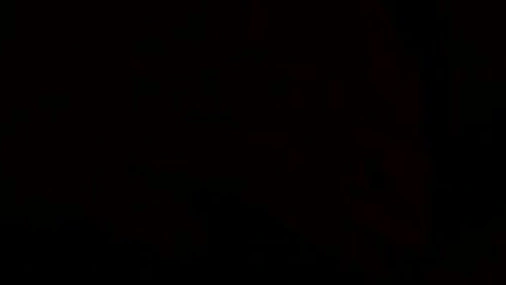 Xev Bellringer Blowjob POV
