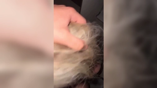 Diablotine Homemade Blowjob POV