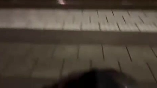 onlyfans swedishhotcouple blowjob outside