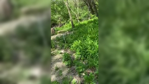 Ambermoody Outdoor Blowjob And Standing Doggy POV