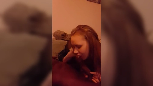 Swedish girl sucking black cock