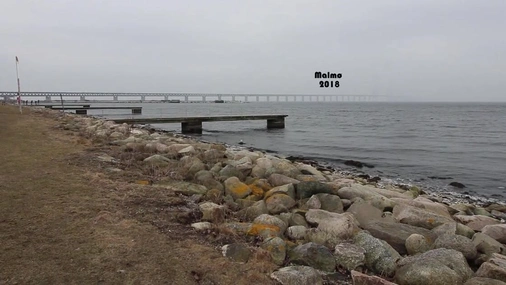 Swedish brunette sucks cock in malmö sweden