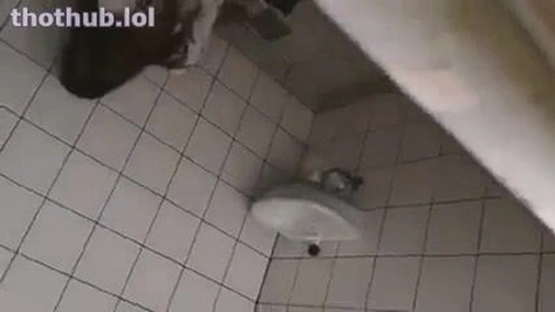 Slut Caught Riding Strangers Dick in Bathroom