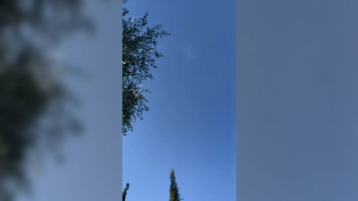 Margot Dulac - Outdoor Moaning Masturbation