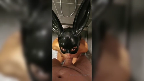 Norwegian Dom BJ
