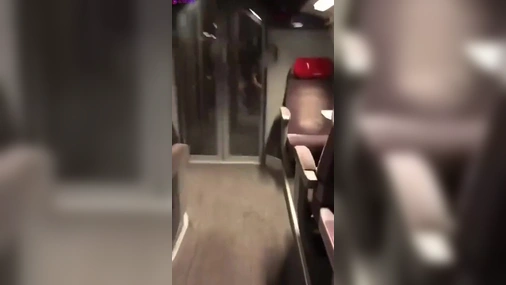 Scandinavian Couple Caught Giving Blowjob