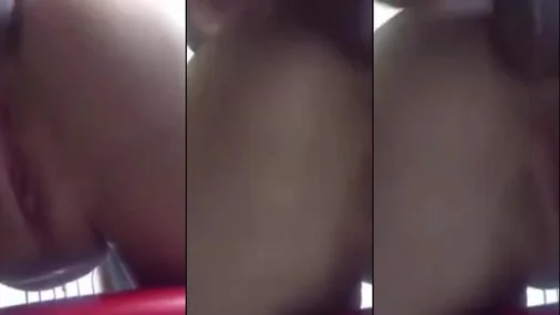 Svensk analsex utomhus