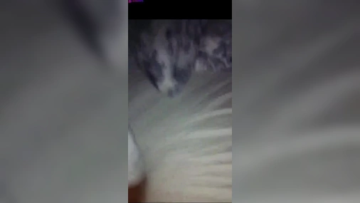 Slutty Swedish Blonde Giving BJ