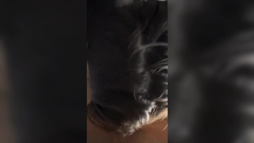 Swedish Nicole Kikabidze Blowjob