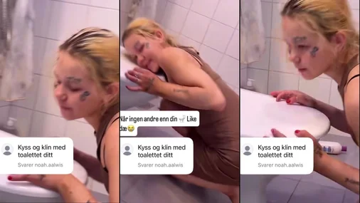 Toilette Norwegisch