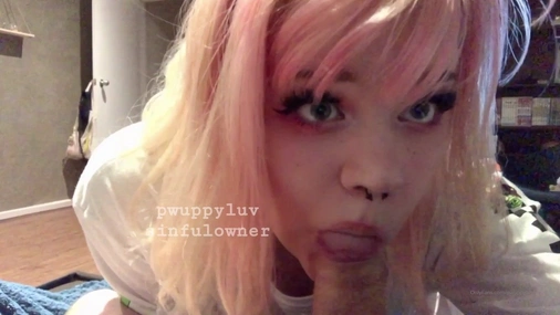 Pupwife Blowjob Close Up On Cam