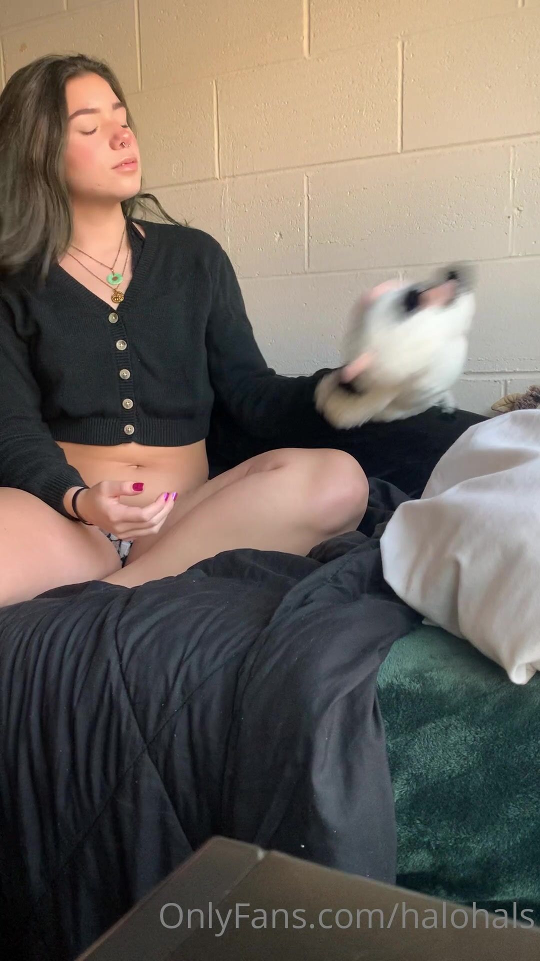 DabOfHalo Intense Orgasm With Pussy Fingering