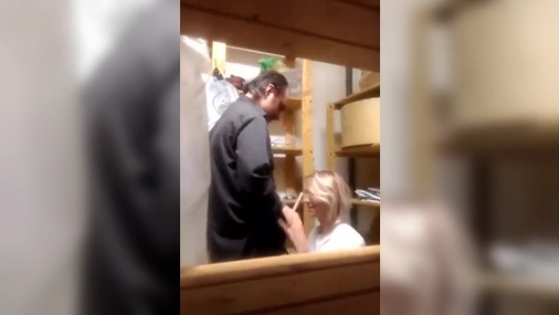 Swedish Coworker fucking in closet