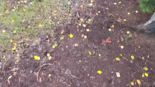 Mini Lilly - Outdoor POV Sextape Video