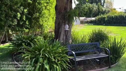 Hailey Rose - Halloween Fairy Cosplay Outdoor Sextape