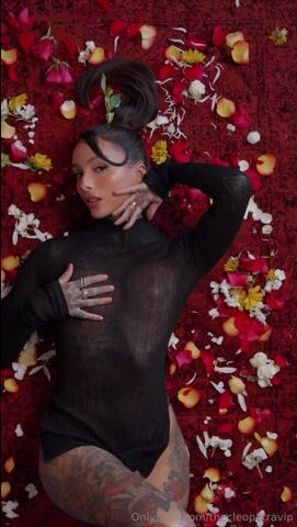 Thecleopetra Seethru Dress
