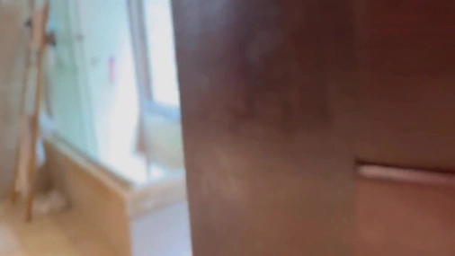 Cam Nair - Quick Bathroom Sextape In Different Positions