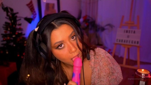 Swedish CaraVega #16