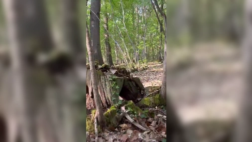 Callmeslooo Outdoor POV Fucking