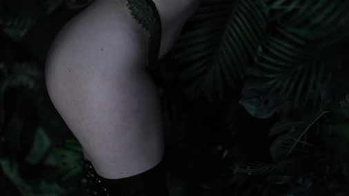 SexualCitrus In Sexy Lingerie
