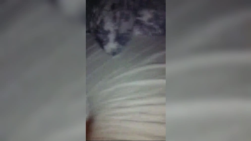 Swedish teen blowjob