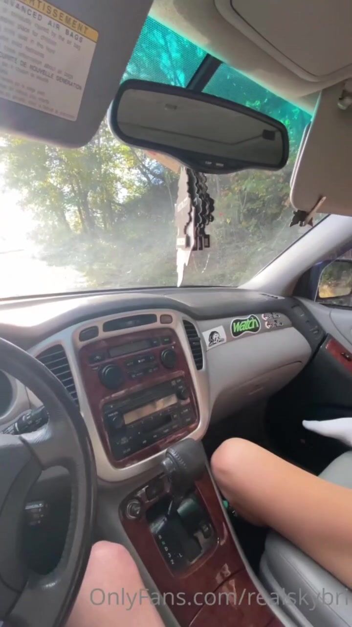 Sky Bri car fuck