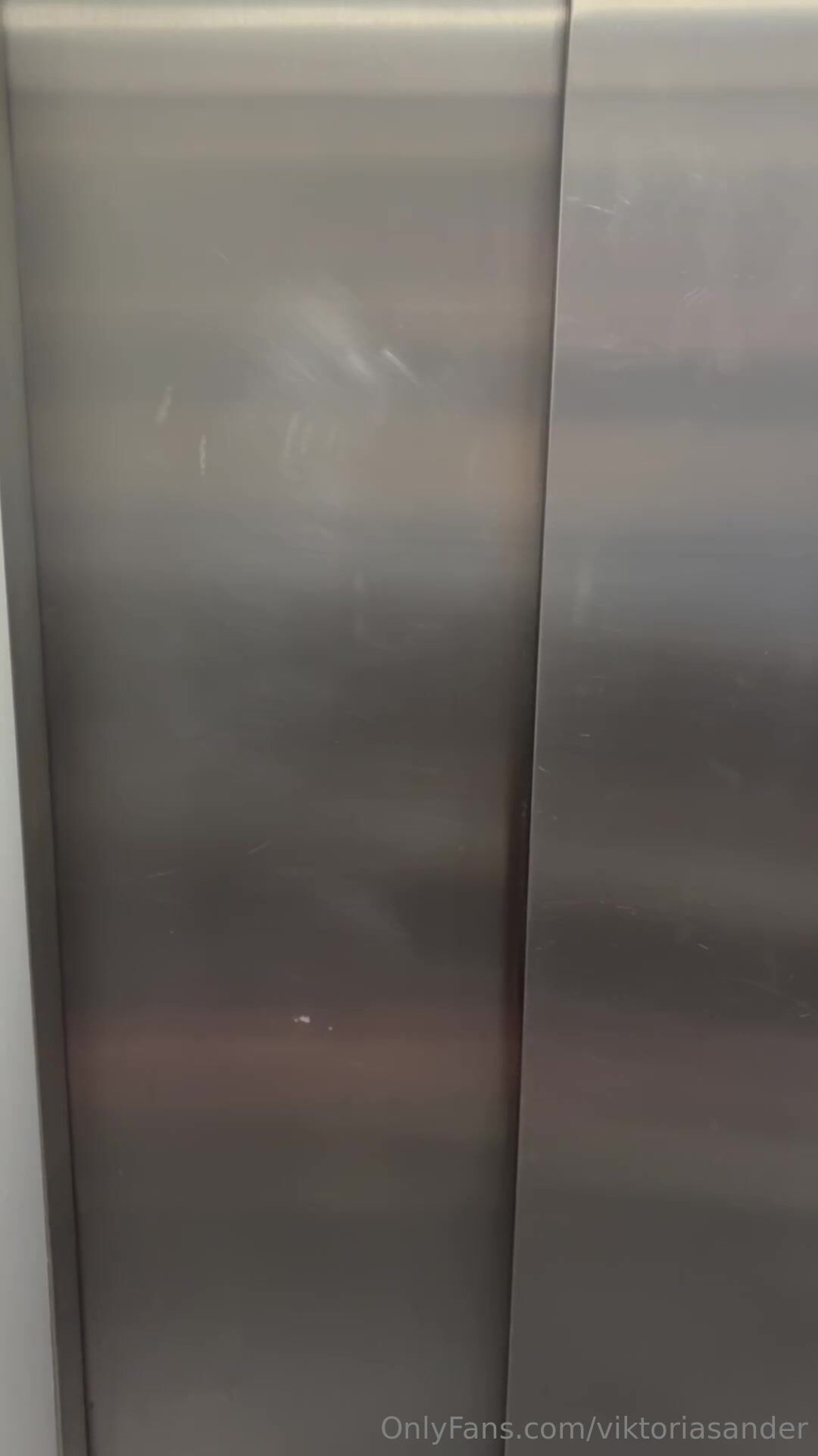 Danish Viktoria Sander Elevator Sex