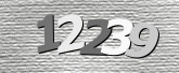 Captcha-bilde
