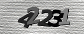 Captcha-bilde